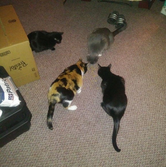 Meet your Posher, Michelle - Picture 5 of 5